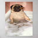 Sök efter bubbelbad posters Söt