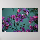 Sök efter och rosablomma posters Blommor