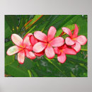 Sök efter rosa plumeria konst Grönt