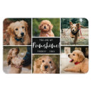 Sök efter svartvit hund magneter Modern