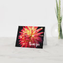 Sök efter röd dahlia Blomma