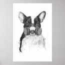 Sök efter artsprojekt posters Djur