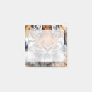 Sök efter tigerfoto Människor (allmänt)
