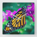 Sök efter orange fjäril klockor Monarch