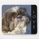 Sök efter min shih tzu elektronik Shitzu