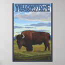 Sök efter yellowstone medborgare posters Plats