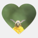 Sök efter kryp fotografi Makro