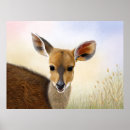 Sök efter african safari posters Djur