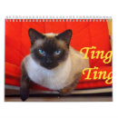 Sök efter siamese katt För alla