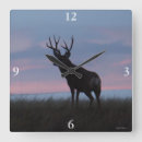 Sök efter hjortar fotografi Naturfotografi