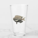 Sök efter guld fisk För alla