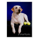 Sök efter tennis fotografi Hund