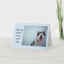 Sök efter husky fotografi Vän