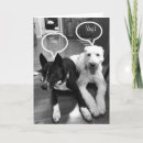 Sök efter koppla fotografi Hund