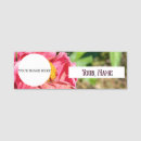 Sök efter rosa zinnia Växla