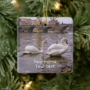 Sök efter fåglar julgransprydnader Vatten