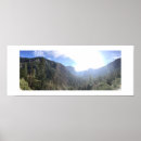 Sök efter fä posters Fotografi