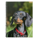 Sök efter tax kontorsmaterial Hund