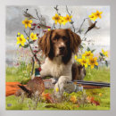 Sök efter engelsk springer spaniel konst Hund