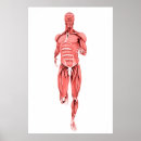 Sök efter biceps konst Arm