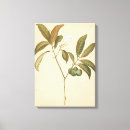 Sök efter tyg konst Vävnader