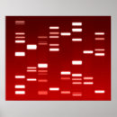 Sök efter dna posters Vetenskap