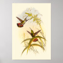 Sök efter hummingbird posters Löv