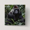 Sök efter gorilla knappar Apa