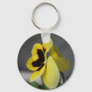 Sök efter gul pansy Blomma