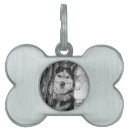 Sök efter ögon halsband For pets