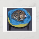 Sök efter suzanne Katt
