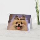 Sök efter pomeranian kort Vän