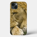 Sök efter mares ipad skal Panthera leo