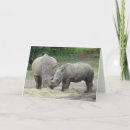 Sök efter rhinos fotografi Afrikansk vildmark