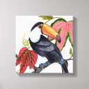 Sök efter toucan canvastryck Tukan