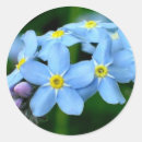 Sök efter glöm mig nots klistermärken Blommor