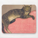 Sök efter steinlen Katt