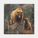 Sök efter wild hem presenter Animals in the wild