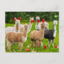 Sök efter alf vykort Humor