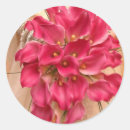 Sök efter rosa porto klistermärken Frimärke