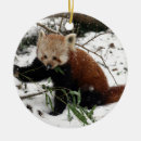 Sök efter röd panda julgransprydnader Rött