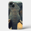 Sök efter elefant ipad skal Vild