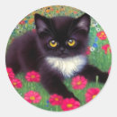 Sök efter tuxedo klistermärken Svart och vit katt