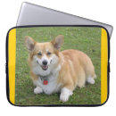 Sök efter corgi elektronik Svetsning