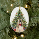 Sök efter afghan hund heminredning Söt