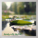 Sök efter frog posters Vatten lily