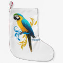 Sök efter guld macaw Macaws
