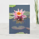Sök efter lotusblommablomma kort Blommigt