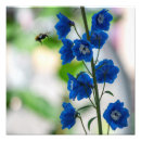 Sök efter medel posters Blommor