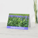 Sök efter violett fotografi Lila blommor